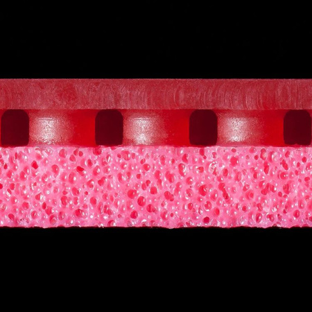 okładzina gładka BUTTERFLY Rozena czerwony