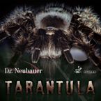 antytopspin DR NEUBAUER Tarantula czerwony
