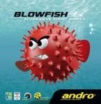 krótkie czopy ANDRO Blowfish